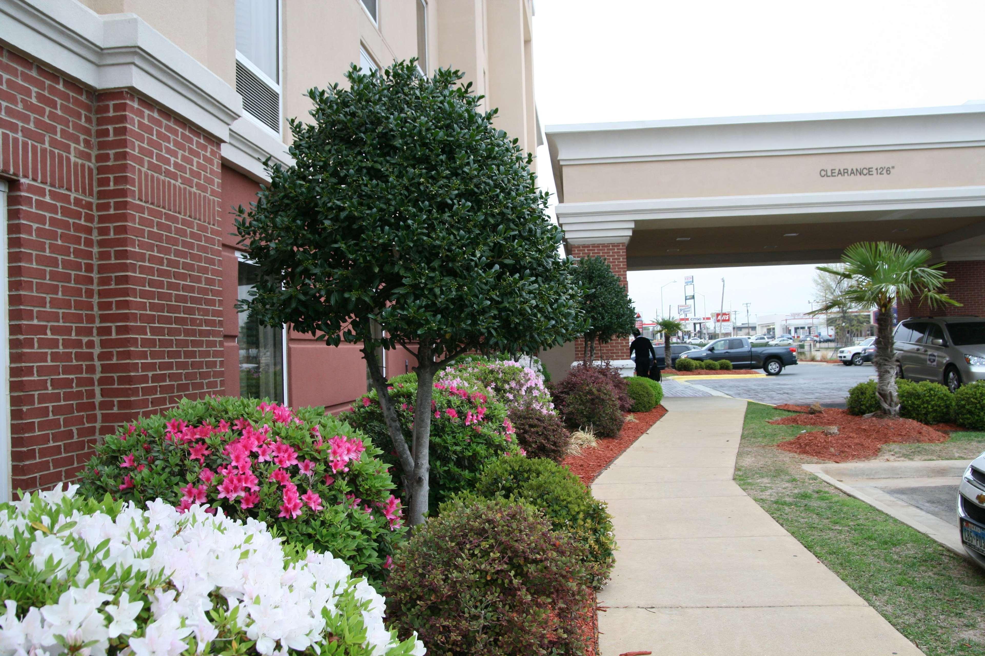 Hampton Inn Shreveport-Airport Extérieur photo